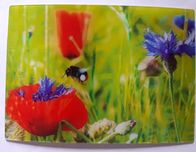 Produktbild von 3 D Ansichtskarte Hummel auf Blume, Postkarte Wackelkarte Hologrammkarte, Tier Biene