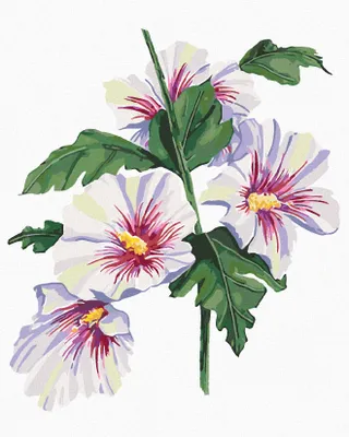 Produktbild von Zuty - Malen nach Zahlen - LILIENBLÜTE (ALEXANDRIA GILBERT), 40x50 cm, mit Keilrahmen (bereits gespannt)