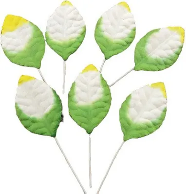 Produktbild von BLÄTTER Scrapbooking LEAVES Maulbeerpapier 40 mm gelb-grün 100 Stück