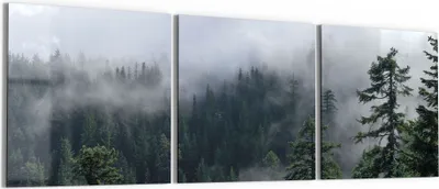 Produktbild von DEQORI Glasbild Echtglas 3x50x50 cm 'Tannenspitzen im Nebel' Wandbilder XXL groß