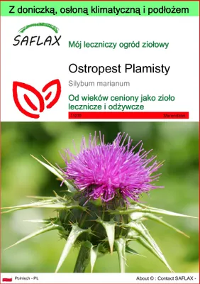 Zdjęcie produktu dla SAFLAX - Garden to go - Ostropest Plamisty - 75 Nasiona - Z doniczką, pokrywą klimatyczną i podłożem do uprawy - Silybum marianum
