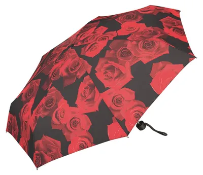 Produktbild von Happy Rain Selection Petito Ultramini Regenschirm Manuell Taschenschirm red rose