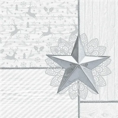 Produktbild von Papstar 87844, Weiß, Seidenpapier, Abbildung, 54 g/m², 400 mm, 400 mm