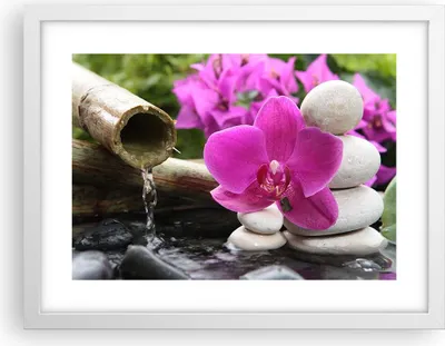 Produktbild von Gerahmtes Poster - Weißer Rahmen - Orchidee Bambus Dekoration Spa - 40x30 cm - Wand Bild - Wanddeko - Wandbilder - Wandposter - Bilderrahmen - Bilder - Kunstdruck - Wandbild - P2WAA40x30-2666