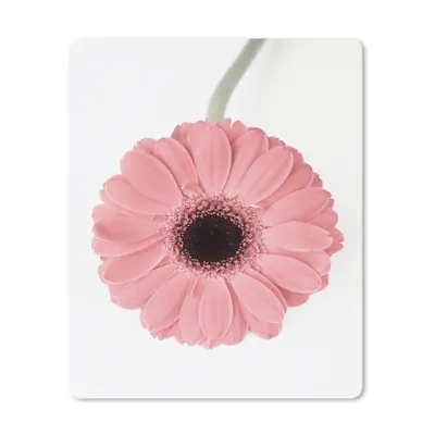 Produktbild von MuchoWow® Mauspad Mousepad Blume - Rosa - Natur - Pflanze 19x23 cm - Mousepads - Maus Mat - Pad - Mausunterlage - Mauspads - Spielen