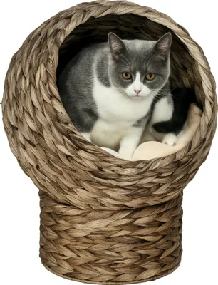 Image de Panier chat lit suršŠlevšŠ chat cosy niche grotte š€ chat grand confort dim. 40L x 37l x 51H cm coussin moelleux beige inclus