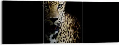Produktbild von Bild auf Leinwand - Leinwandbild - 3 Teile - Schattig Leopard Panther - 150x50cm - Wand Bild - Wanddeko - Wandbilder - Leinwanddruck - Bilder - Wanddekoration - Leinwand bilder - CA150x50-4585