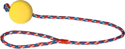Obrázok produktu pre Hračka pre psov, loptička na lane, 6 cm/60 cm, Kerbl