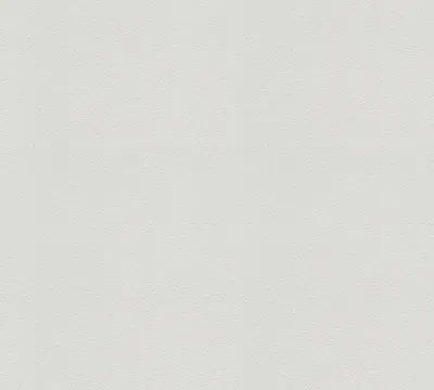 Obrázek produktu pro A.S. Création netkaná tapeta Meistervlies Pro Protect 2, bílá, malovatelná, 25,00 m x 1,06 m, 577610, 5776-10