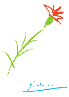 Produktbild von Kunstkarte Pablo Picasso "Nelke"