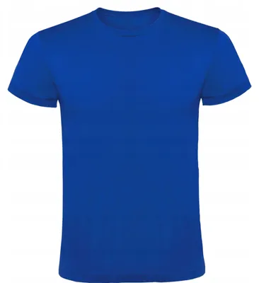 Zdjęcie produktu dla T-shirt męski niebieski rozmiar S