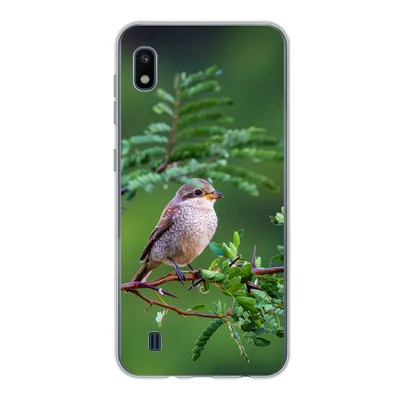 Produktbild von MuchoWow® Handyhülle Schutzhülle Hülle für Samsung Galaxy A10 Vogel - Baum - Wald Silikon Softcase Handy Hülle - Schutzhülle