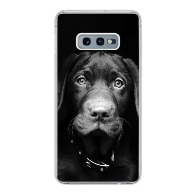 Produktbild von MuchoWow® Handyhülle Schutzhülle Hülle für Samsung Galaxy S10e Nahaufnahme Labrador Welpe vor schwarzem Hintergrund in schwarz und weiß Silikon Softcase Handy Hülle - Handy