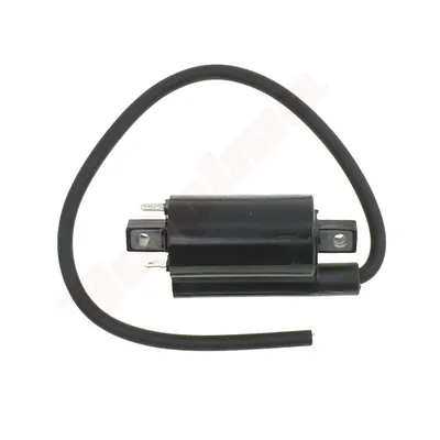 Image de Bobine d'allumage Pour B&S ( 820037 )