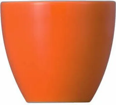 Produktbild von Thomas 10850-408505-15520, Porzellan, Sunny Day