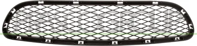 Produktbild von PRASCO Lüftungsgitter Grill Stoßfänger für BMW 3 Touring (E91)