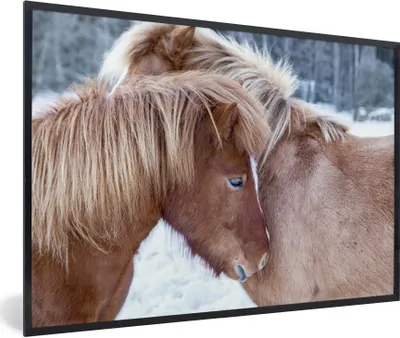 Produktbild von MuchoWow® Gerahmtes Poster Pferde - Fohlen - Schnee 90x60 cm - Poster mit Schwarzem Bilderrahmen Wandposter Rahmen Foto Bilder - Fotorahmen - Foto-Plakat