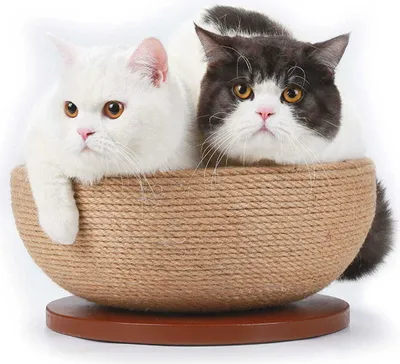 Produktbild von Sisal-Kratzschale Bowl · Liegemulde für Katzen · Beige · ca. 45 x 45 x 16 cm