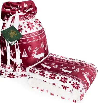 A Christmas-themed blanket and gift bag set.