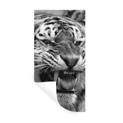 Produktbild von MuchoWow® Wandtattoo Wandsticker Wandaufkleber Tiger - Tiere - Schwarz - Weiß 60x120 cm Selbstklebend und Repositionierbar - Selbstklebend - Fototapeten