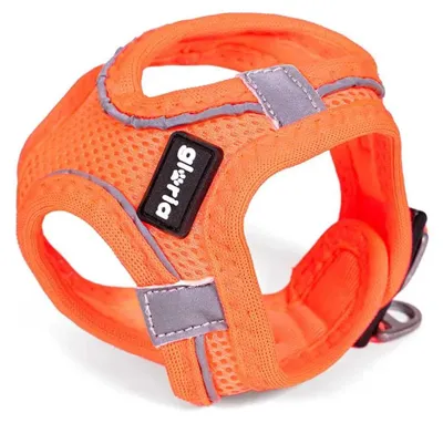 Immagine prodotto di Pettorina per cane gloria trek star 32,8-35,4 cm 45-47 cm arancione m