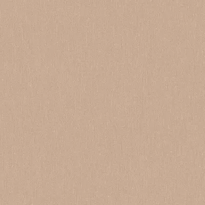 Immagine prodotto di Carta da parati Borastapeter in terracotta liscia - 660463 - 53 cm x 10,05 m