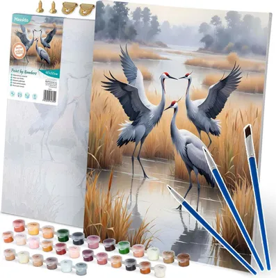 Immagine prodotto di Dipinto con i numeri 40x50 cm Massido Cranes