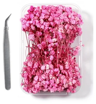 Immagine prodotto di "Scialla rosa chiaro, 20 steli, 8-15 cm, fiori secchi naturali per decorazioni."