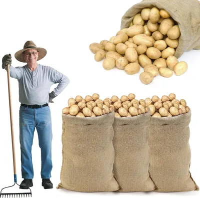 Produktbild von Naturliche jutesäcke 60x100cm, 4er set Kartoffelsack, inklusive 10m kordel Pflanzsack,Getreidesack,wiederverwendbar, strapazierfähig, vielseitig