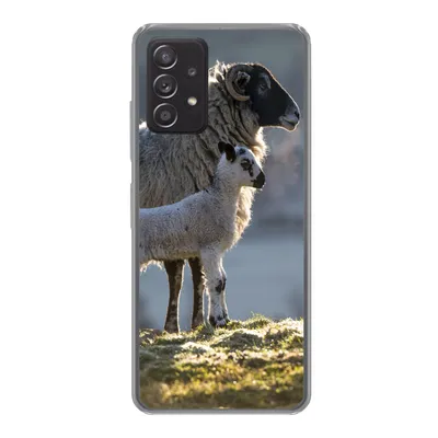 Produktbild von MuchoWow® Handyhülle Schutzhülle Hülle für Samsung Galaxy A53 5G Schaf - Lamm - Sonne Silikon Softcase Handy Hülle - Schutzabdeckung