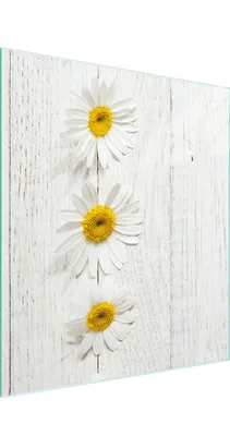 Produktbild von Robustes, hygienisches Glas Schneide- und Servierbrett 45x52 cm Holzoptik