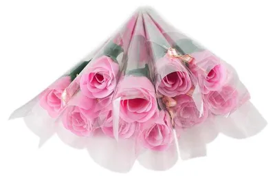 Image de Roses parfumées - Rose pâle