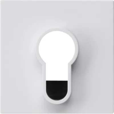 Image de Gira Cache interrupteur à clé 866403 (866403)