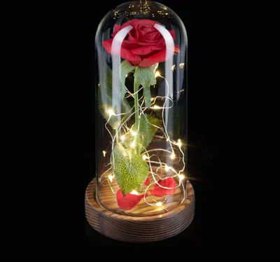 Image de Relaxdays Rose éternelle avec guirlande lumineuse, cadeau pour femme, cloche en verre, socle en bois, La Belle et la Bête, rose artificielle, rouge