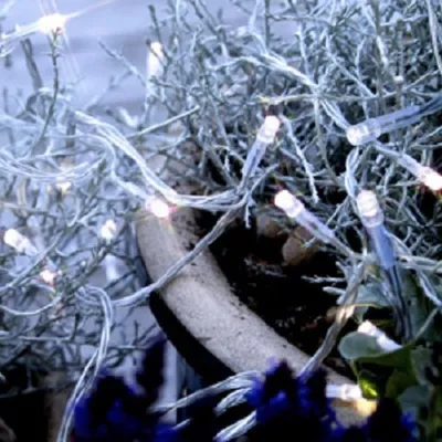 Produktbild von LED Lichterkette 160er 16m cool white / transparent Best Season 499-38