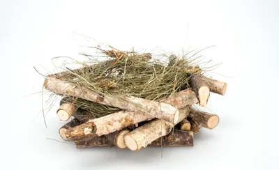 Produktbild von Osternest aus Birkenzweigen in Natur, mit einem Durchmesser von 15 cm | Osternest, Material:Ganze Zweige