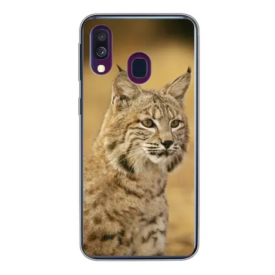 Produktbild von MuchoWow® Handyhülle Schutzhülle Hülle für Samsung Galaxy A40 Luchs - Braun - Gras Silikon Softcase Handy Hülle - Handy-Tasche