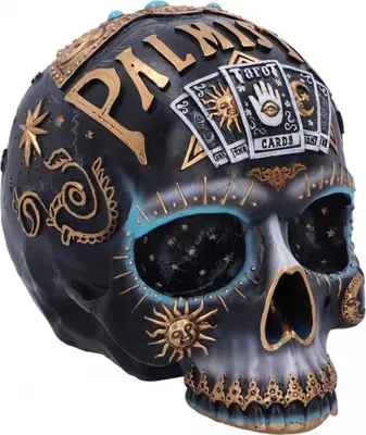 Produktbild von Schicksal der Handlesekunst Gothic Schädel Totenkopf Deko 18cm