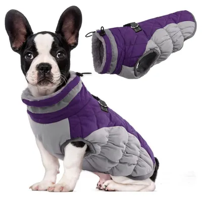 Immagine prodotto di Cappotto per cani, invernale, antivento, con imbracatura, riflettente, colore viola, taglia M