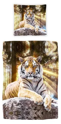 Produktbild von Traumschlaf Bettwäsche Tiger 140x200 cm + 70x90 cm