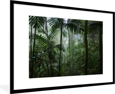 Produktbild von MuchoWow® MuchoWow® Gerahmtes Poster Regenwald - Tropisch - Dschungel - Bäume - Pflanzen 90x60 cm - Poster mit zchwarzem Bilderrahmen - Wanddekoration - Fotos