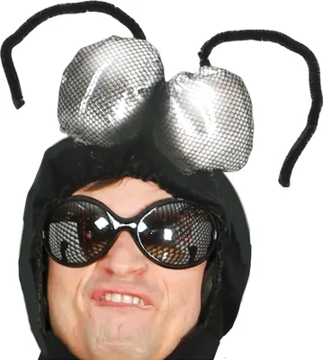 A person wearing a black costume with large, silver, bug-like eyes and black antennae.