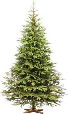 Immagine prodotto di FAIRYTREES Albero di Natale 220 cm Nordman Esclusivo 100% PE | Elementi naturali realizzati ad iniezione| in UE | albero con supporto in legno di frassino fatto a mano
