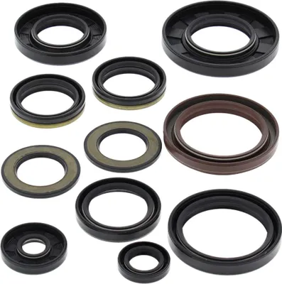 Obrázek produktu pro Sada motorových těsnění WINDEROSA W822202