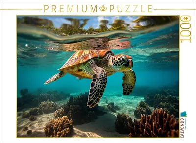 Produktbild von CALVENDO Puzzle Meeresschildkröte unter Wasser | 1000 Teile Lege-Größe 64x48cm Foto-Puzzle für glückliche Stunden