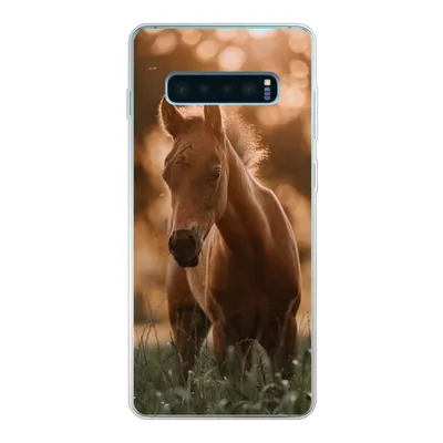 Produktbild von MuchoWow® Handyhülle Schutzhülle Hülle für Samsung Galaxy S10 Plus Pferd - Licht - Landschaft Silikon Softcase Handy Hülle - Schutzhülle