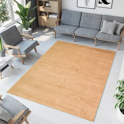 Produktbild von Teppich Kurzflor Schlafzimmer Wohnzimmer Kinderzimmer Dunkelbeige Einfarbig Modern Design  80 x 150 cm