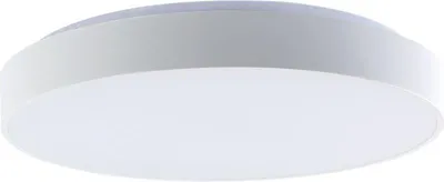 Zdjęcie produktu dla Lampa sufitowa LED, biała, ściemniana, pilot, D 49,5 cm