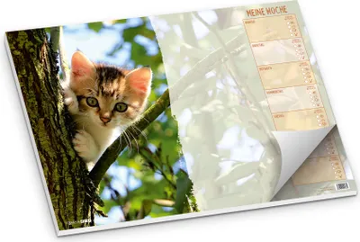 Produktbild von itenga Schreibtischunterlage für Kinder KATZE DIN A3 50 Blatt