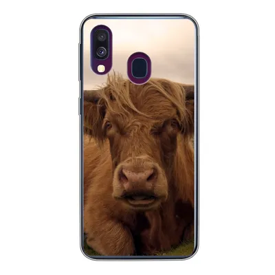 Produktbild von MuchoWow® Handyhülle Schutzhülle Hülle für Samsung Galaxy A40 Schottischer Highlander - Tiere - Berg Silikon Softcase Handy Hülle - Handy-Tasche